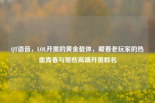 QT语音,LOL开黑的黄金载体,藏着老玩家的热血青春与那些高端开黑群名