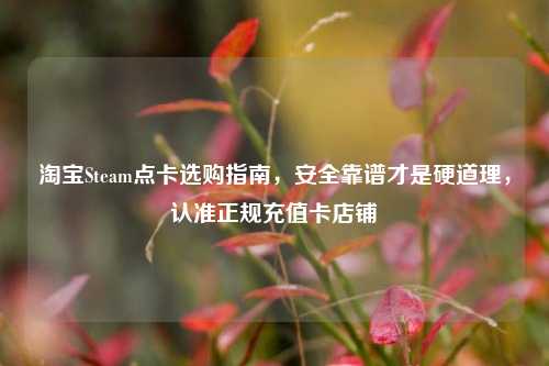 淘宝Steam点卡选购指南，安全靠谱才是硬道理，认准正规充值卡店铺