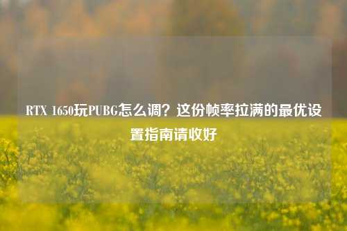 RTX 1650玩PUBG怎么调?这份帧率拉满的最优设置指南请收好