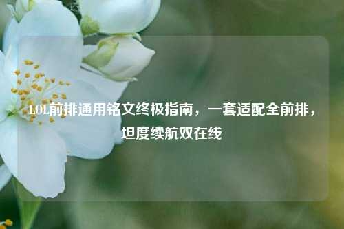 LOL前排通用铭文终极指南，一套适配全前排，坦度续航双在线