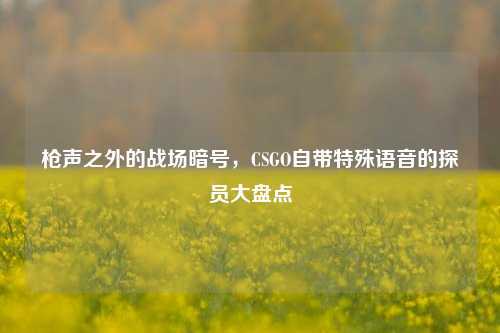 枪声之外的战场暗号,CSGO自带特殊语音的探员大盘点