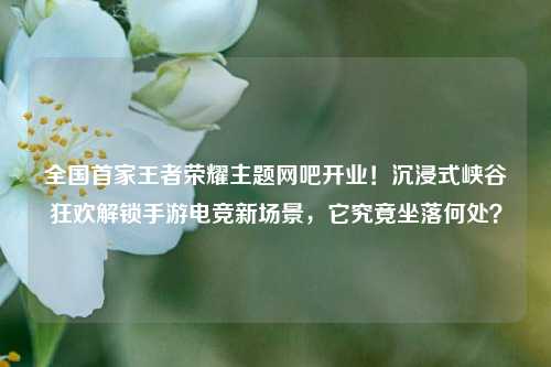 全国首家王者荣耀主题网吧开业!沉浸式峡谷狂欢解锁手游电竞新场景,它究竟坐落何处?