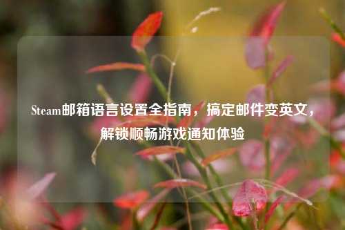 Steam邮箱语言设置全指南,搞定邮件变英文,解锁顺畅游戏通知体验