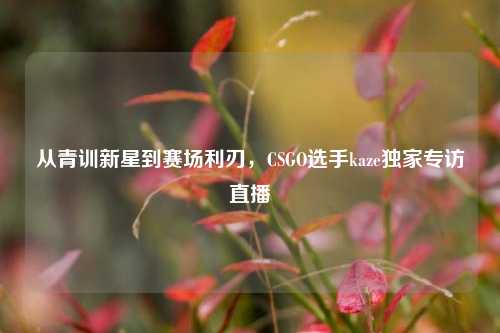 从青训新星到赛场利刃,CSGO选手kaze独家专访直播