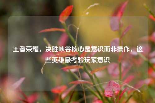 王者荣耀,决胜峡谷核心是意识而非操作,这些英雄最考验玩家意识