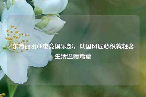 东方丽羽CF电竞俱乐部,以国风匠心织就轻奢生活温暖篇章
