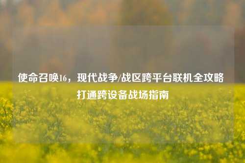 使命召唤16,现代战争/战区跨平台联机全攻略 打通跨设备战场指南