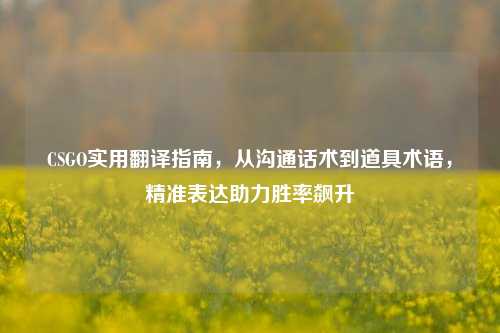 CSGO实用翻译指南，从沟通话术到道具术语，精准表达助力胜率飙升