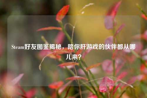Steam好友图鉴揭秘,陪你肝游戏的伙伴都从哪儿来?
