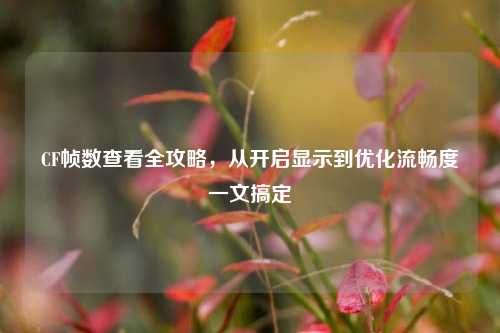 CF帧数查看全攻略,从开启显示到优化流畅度一文搞定