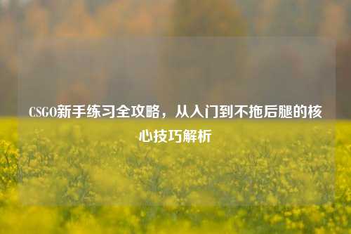 CSGO新手练习全攻略,从入门到不拖后腿的核心技巧解析