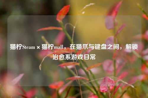 猫柠Steam×猫柠mall,在猫爪与键盘之间,解锁治愈系游戏日常