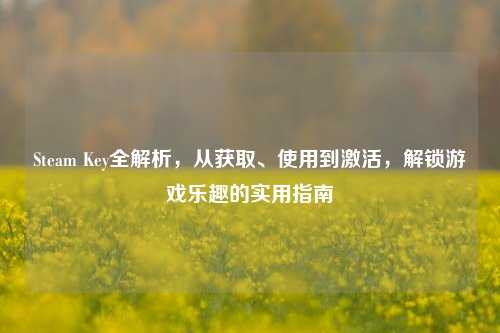 Steam Key全解析，从获取、使用到激活，解锁游戏乐趣的实用指南