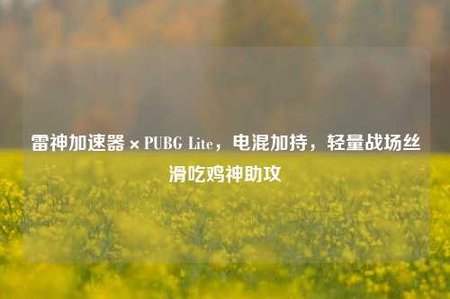 雷神加速器×PUBG Lite,电混加持,轻量战场丝滑吃鸡神助攻