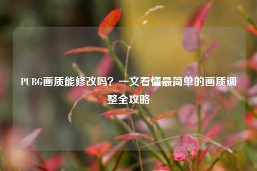 PUBG画质能修改吗?一文看懂最简单的画质调整全攻略