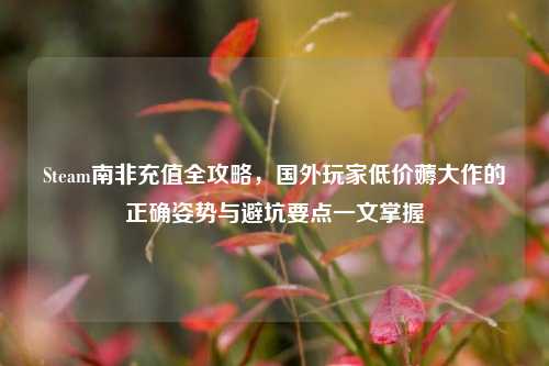 Steam南非充值全攻略，国外玩家低价薅大作的正确姿势与避坑要点一文掌握