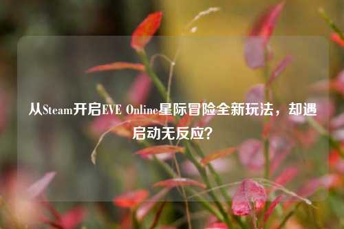 从Steam开启EVE Online星际冒险全新玩法,却遇启动无反应?