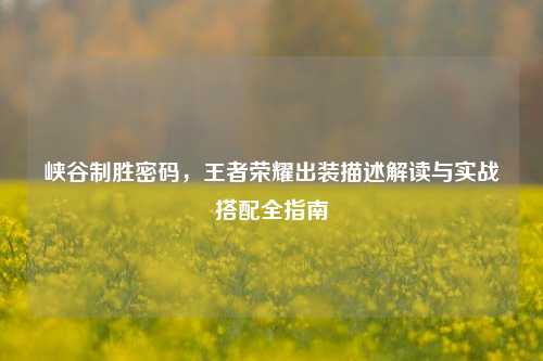 峡谷制胜密码,王者荣耀出装描述解读与实战搭配全指南
