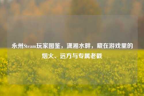 永州Steam玩家图鉴,潇湘水畔,藏在游戏里的烟火、远方与专属老戳