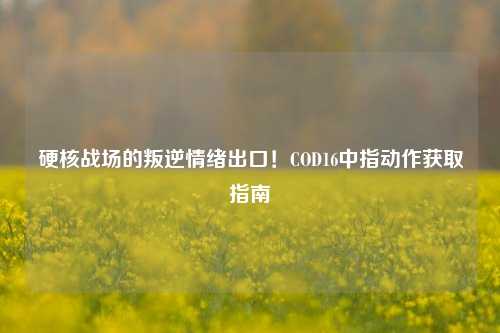 硬核战场的叛逆情绪出口！COD16中指动作获取指南
