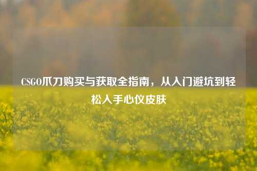 CSGO爪刀购买与获取全指南,从入门避坑到轻松入手心仪皮肤