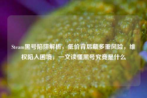 Steam黑号陷阱解析,低价背后藏多重风险,维权陷入困境,一文读懂黑号究竟是什么