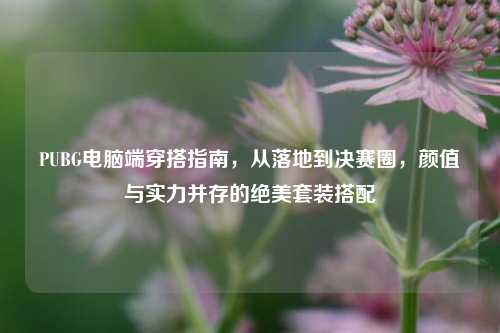 PUBG电脑端穿搭指南,从落地到决赛圈,颜值与实力并存的绝美套装搭配