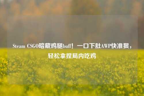 Steam CSGO暗藏鸡腿buff!一口下肚AWP快准狠,轻松拿捏局内吃鸡