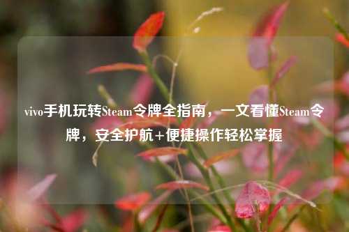 vivo手机玩转Steam令牌全指南,一文看懂Steam令牌,安全护航+便捷操作轻松掌握