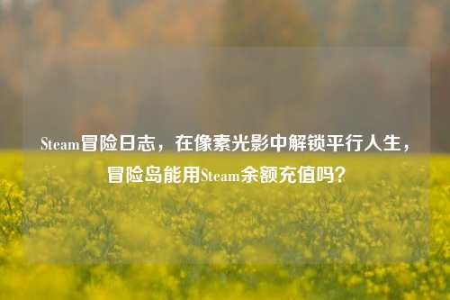 Steam冒险日志，在像素光影中解锁平行人生，冒险岛能用Steam余额充值吗？