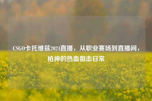 CSGO卡托维兹2024直播，从职业赛场到直播间，枪神的热血狙击日常