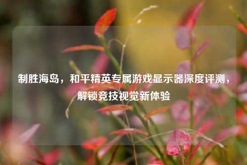 制胜海岛，和平精英专属游戏显示器深度评测，解锁竞技视觉新体验