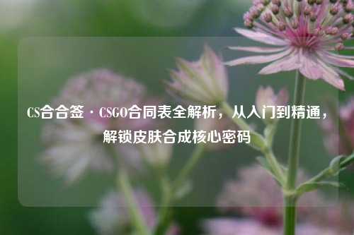 CS合合签·CSGO合同表全解析,从入门到精通,解锁皮肤合成核心密码