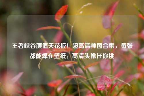 王者峡谷颜值天花板!超高清帅图合集,每张都能焊在壁纸,高清头像任你挑