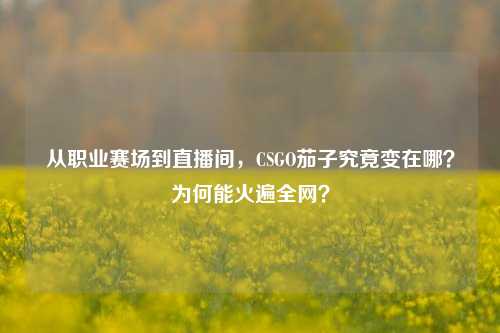 从职业赛场到直播间,CSGO茄子究竟变在哪?为何能火遍全网?