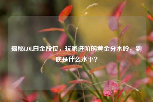 揭秘LOL白金段位,玩家进阶的黄金分水岭,到底是什么水平?