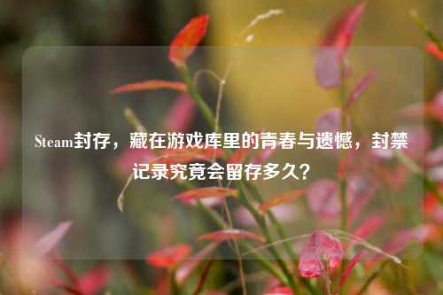 Steam封存,藏在游戏库里的青春与遗憾,封禁记录究竟会留存多久?