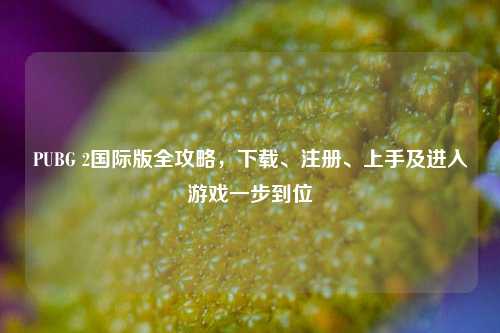 PUBG 2国际版全攻略，下载、注册、上手及进入游戏一步到位