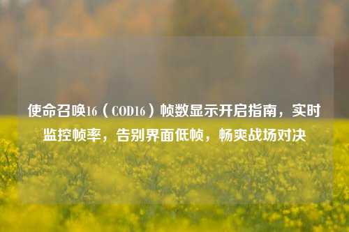使命召唤16(COD16)帧数显示开启指南,实时监控帧率,告别界面低帧,畅爽战场对决