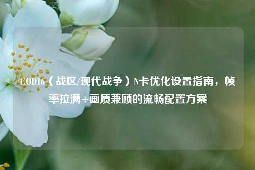 COD16（战区/现代战争）N卡优化设置指南，帧率拉满+画质兼顾的流畅配置方案