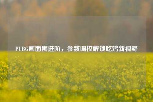 PUBG画面狮进阶,参数调校解锁吃鸡新视野
