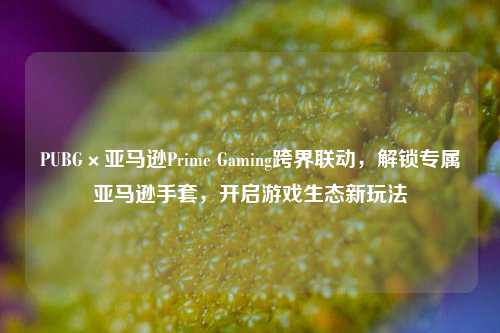 PUBG×亚马逊Prime Gaming跨界联动,解锁专属亚马逊手套,开启游戏生态新玩法