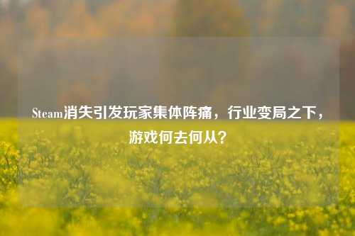 Steam消失引发玩家集体阵痛，行业变局之下，游戏何去何从？