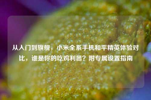 从入门到旗舰,小米全系手机和平精英体验对比,谁是你的吃鸡利器?附专属设置指南