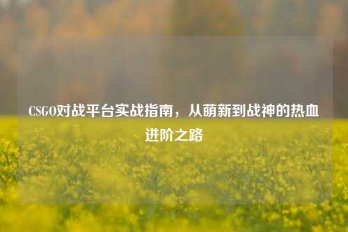 CSGO对战平台实战指南，从萌新到战神的热血进阶之路