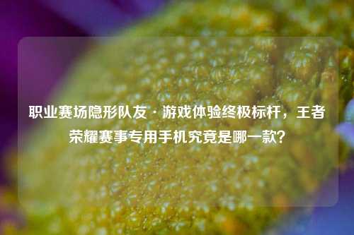 职业赛场隐形队友·游戏体验终极标杆,王者荣耀赛事专用手机究竟是哪一款?