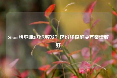 Steam版巫师3闪退频发?这份终极解决方案请收好