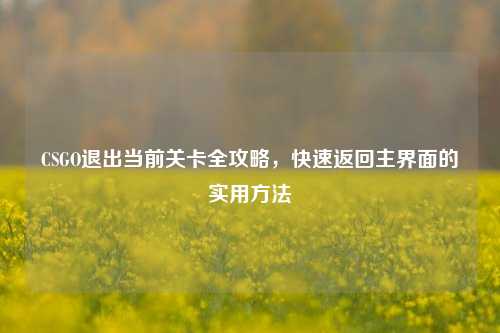 CSGO退出当前关卡全攻略，快速返回主界面的实用方法