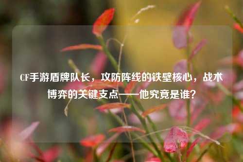 CF手游盾牌队长,攻防阵线的铁壁核心,战术博弈的关键支点——他究竟是谁?