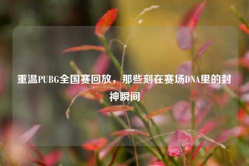 重温PUBG全国赛回放，那些刻在赛场DNA里的封神瞬间